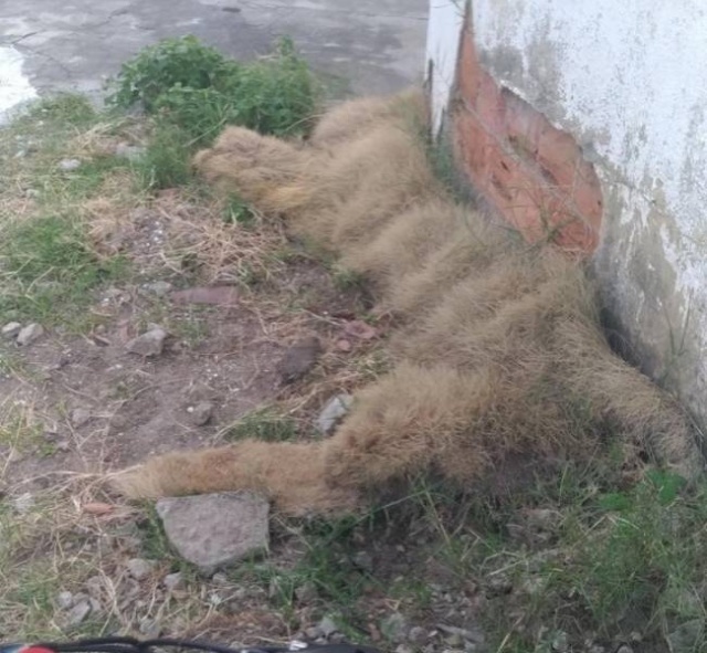 Показалось