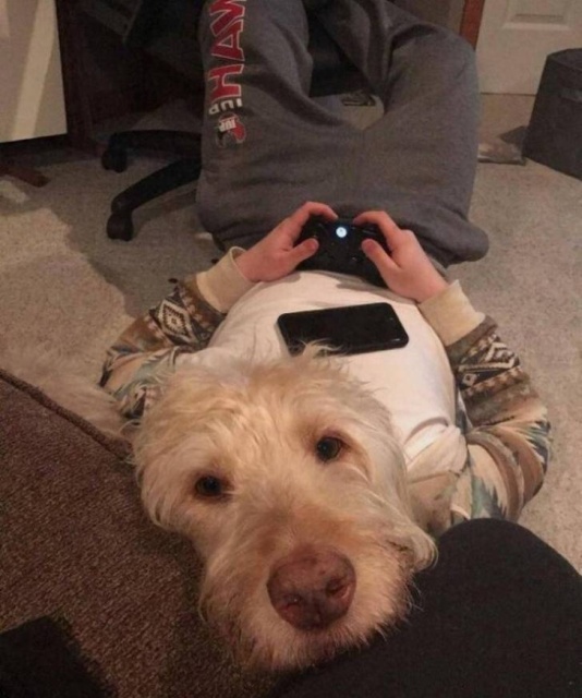 Показалось