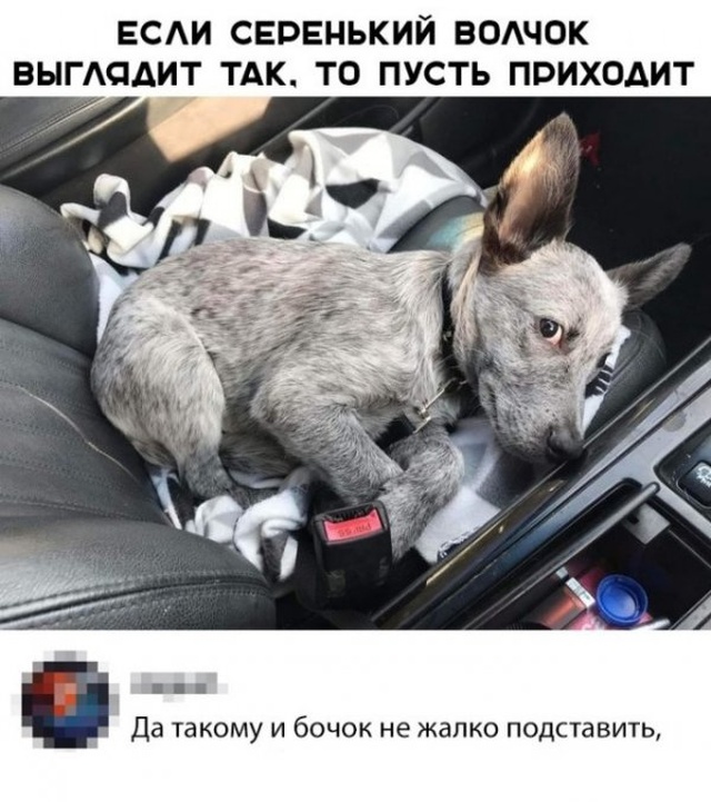 Простой юмор с просторов сети