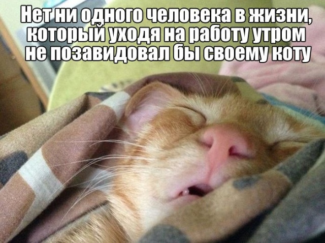 Простой юмор с просторов сети