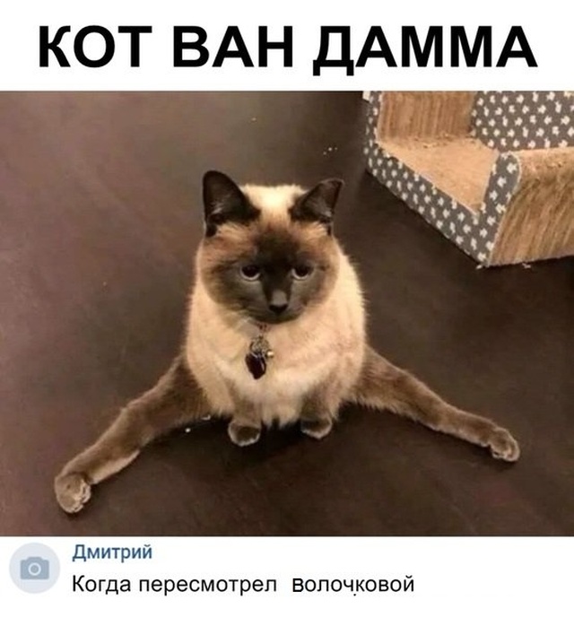 Простой юмор с просторов сети