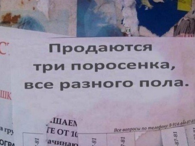 Простой юмор с просторов сети