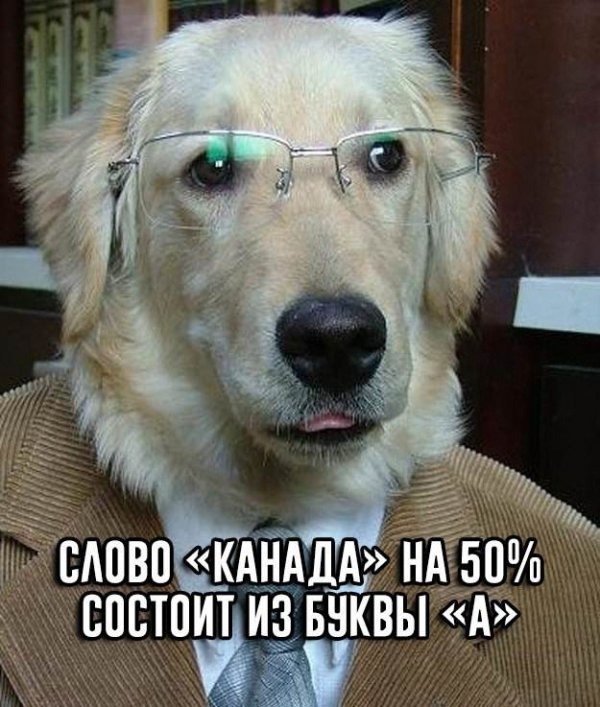 Простой юмор с просторов сети