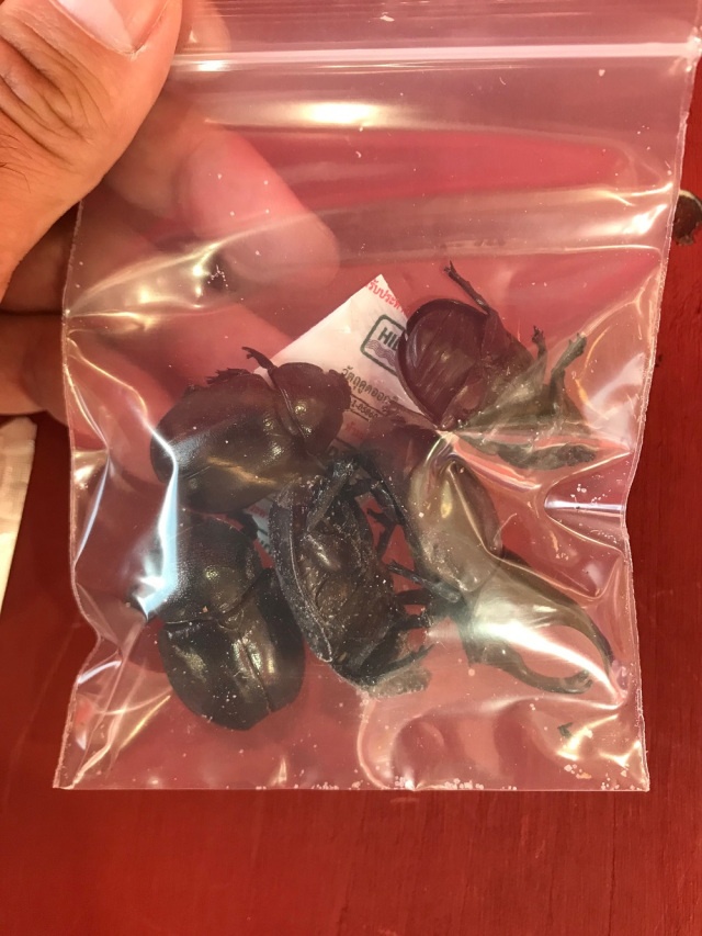 Необычный "перекус" по-японски