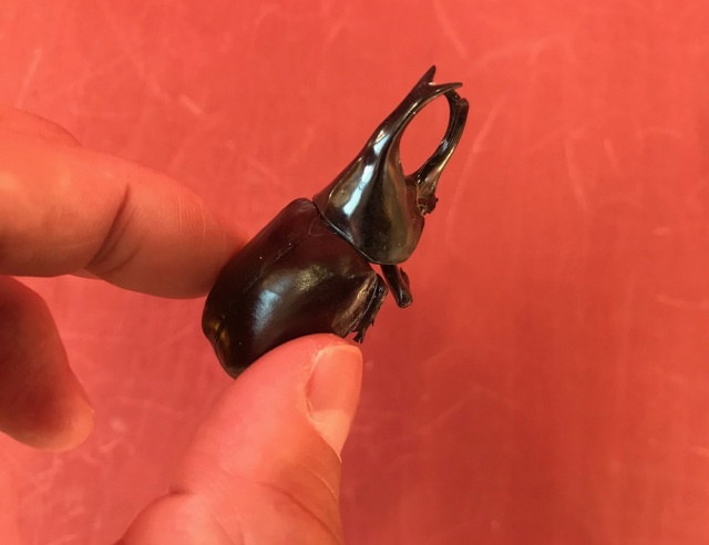 Необычный "перекус" по-японски