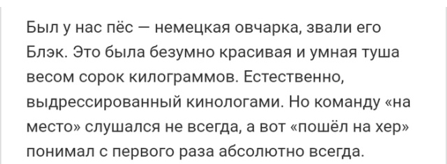 Истории людей с просторов сети Истории людей с просторов сети