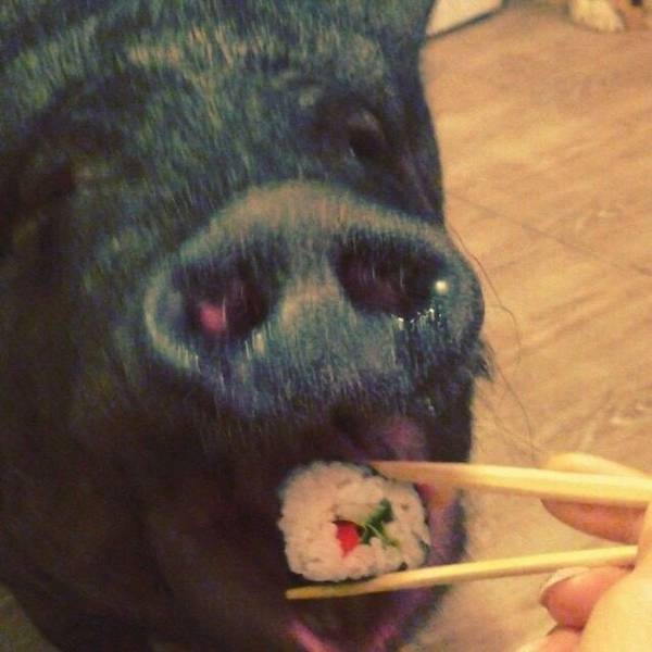 Прикольные картинки