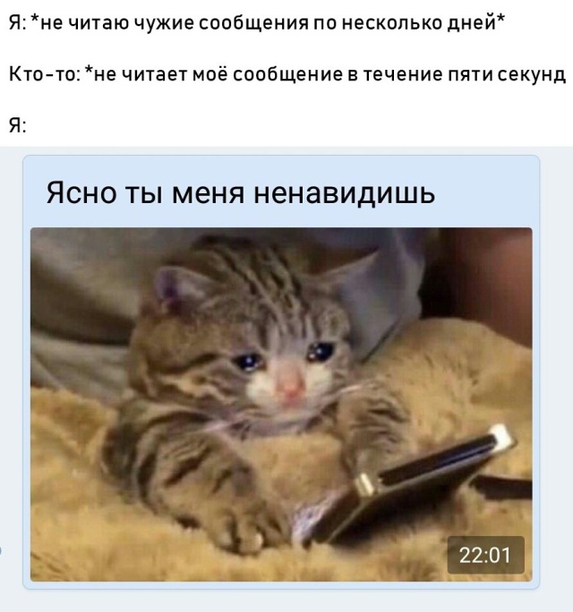 Прикольные картинки