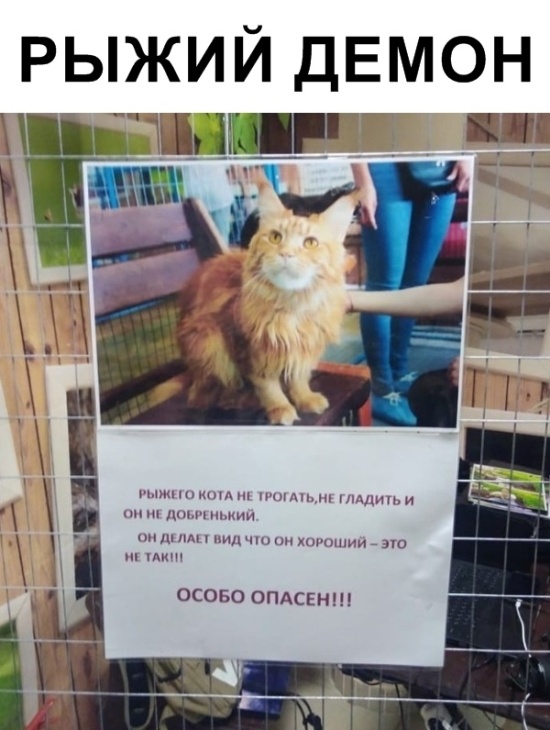 Прикольные картинки