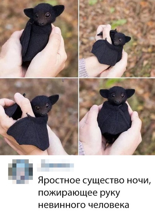 Прикольные картинки