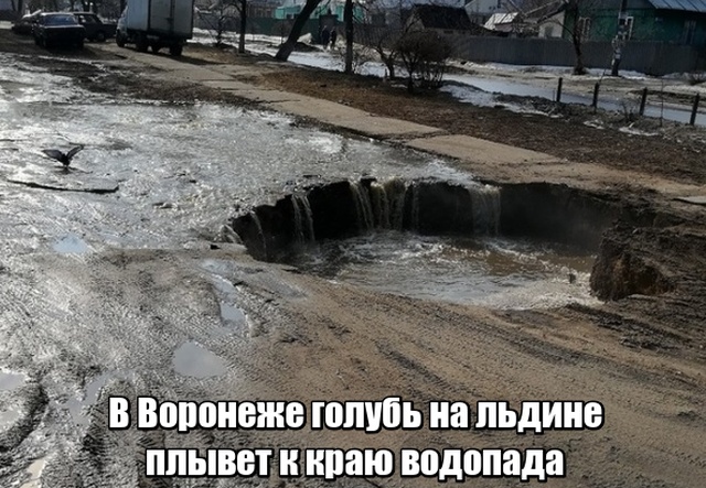 Прикольные картинки