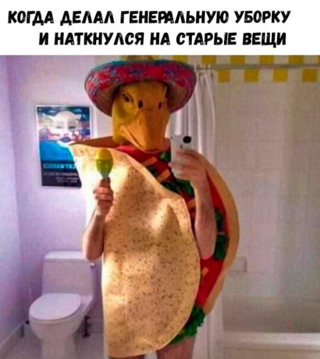 Прикольные картинки