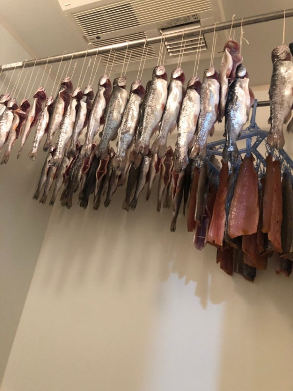 Странная фотосессия японской модели Шихоми Ёсино