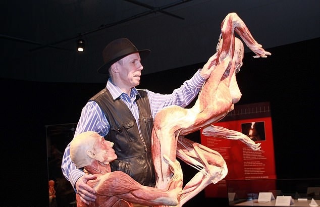Экспонаты анатомической выставки Body Worlds могут скрывать жуткую тайну