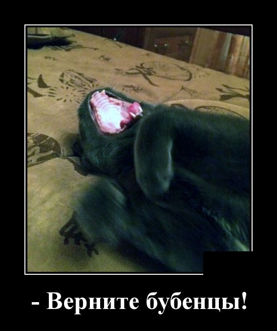 Демотиваторы