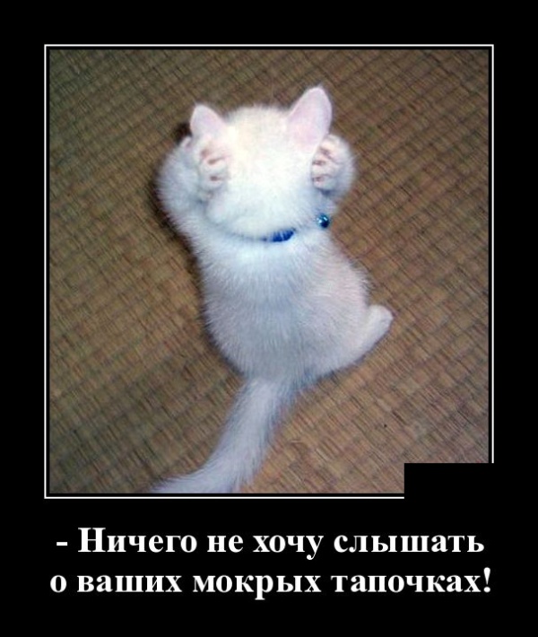 Демотиваторы