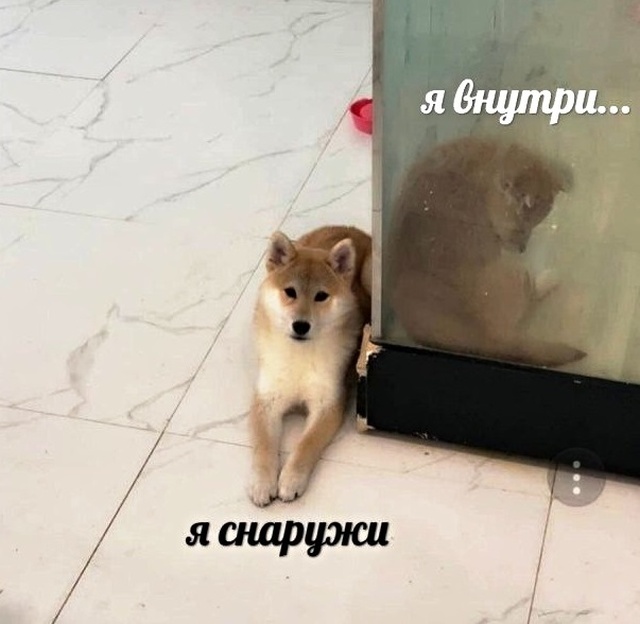 Юмор и шутки с просторов сети