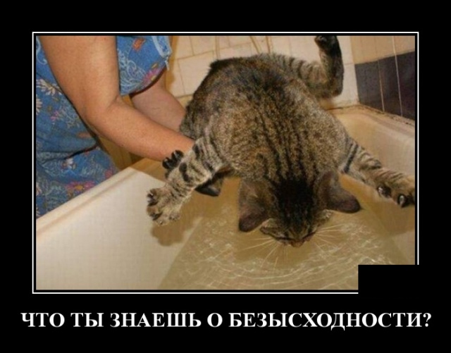 Демотиваторы