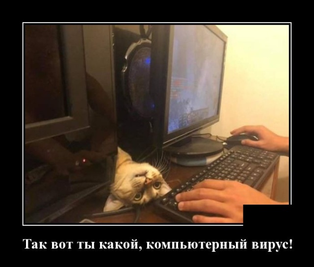 Демотиваторы