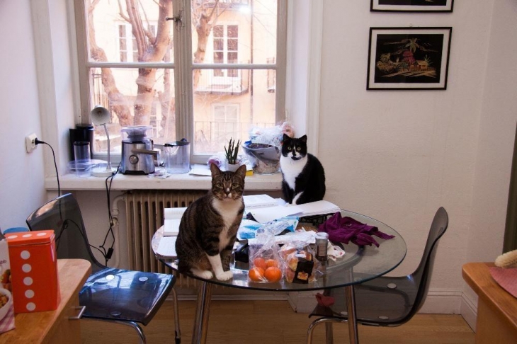 Как живут холостяки в разных странах мира