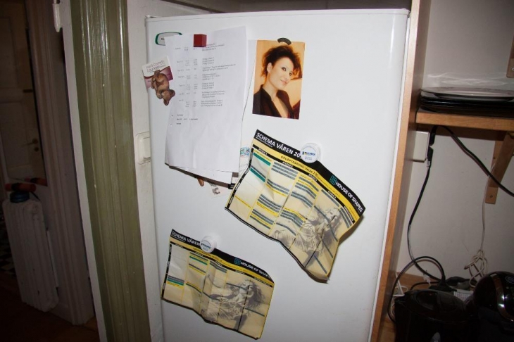 Как живут холостяки в разных странах мира