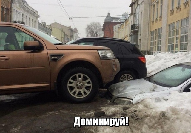 Прикольные картинки