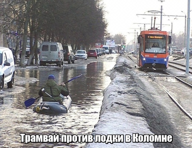 Прикольные картинки