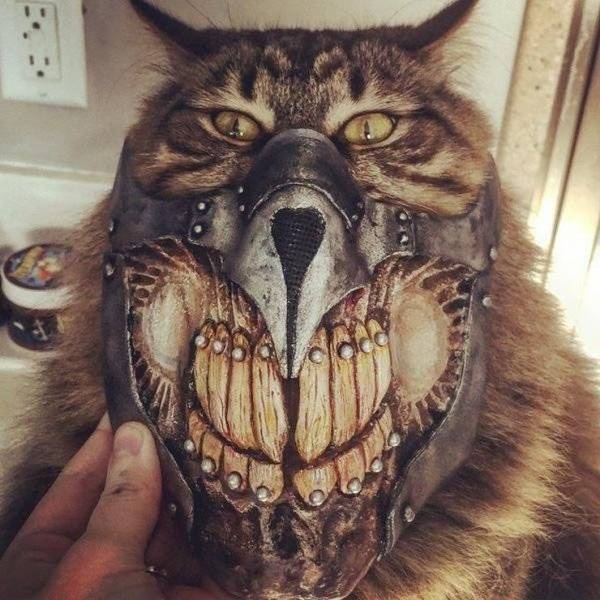 Прикольные картинки