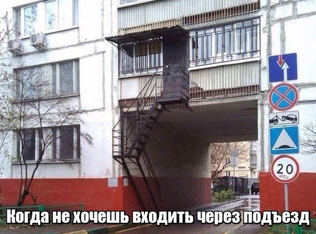 Прикольные картинки