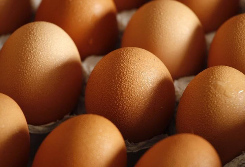 Признаки, указывающие на несвежесть продуктов питания