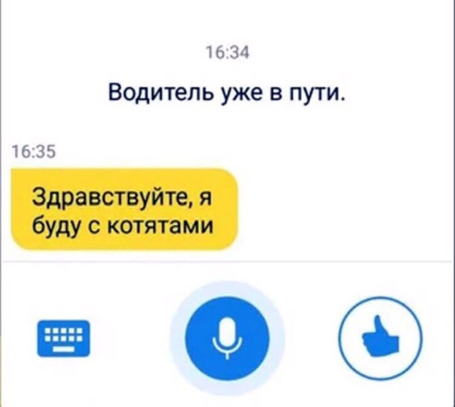 Прикольные картинки