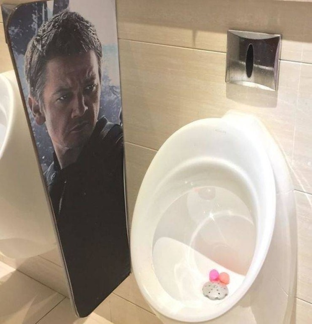 Прикольные картинки
