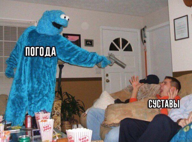 Прикольные картинки