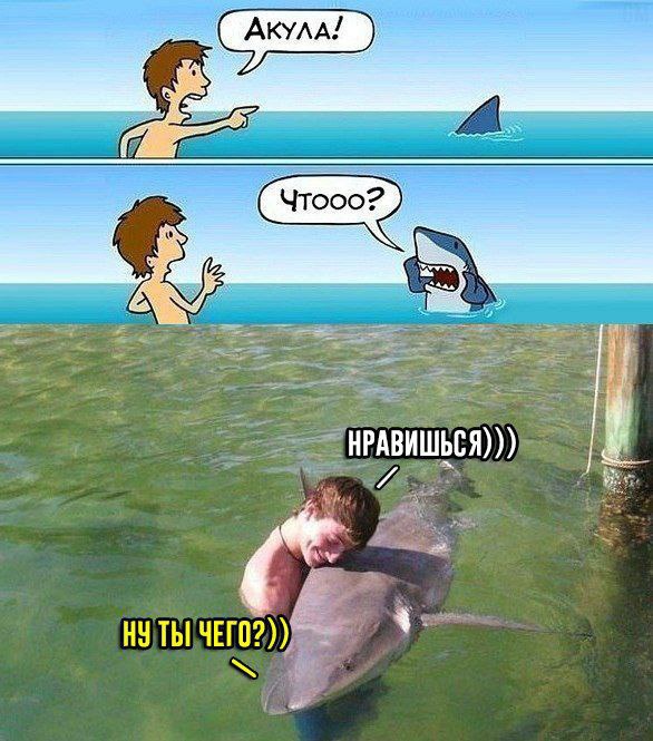 Прикольные картинки
