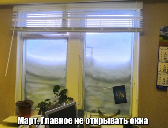 Прикольные картинки