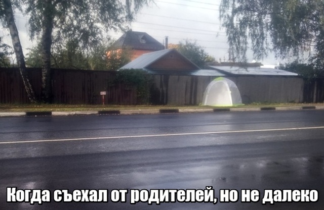 Прикольные картинки