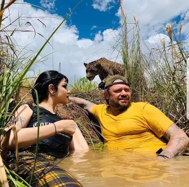 Прикольные картинки