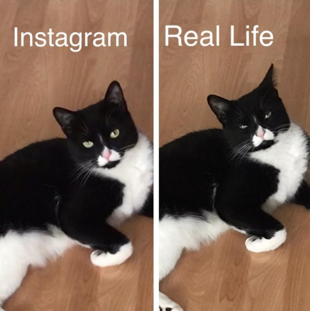 У каждого идеального снимка в Instagram есть своя "обратная сторона"