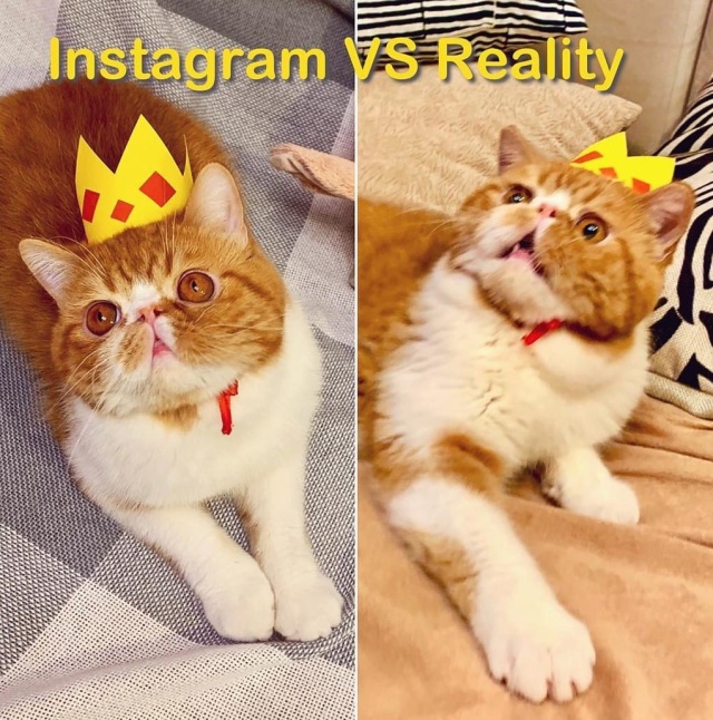 У каждого идеального снимка в Instagram есть своя "обратная сторона"