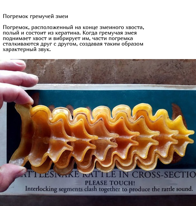 Уникальные и необычные вещи в разрезе