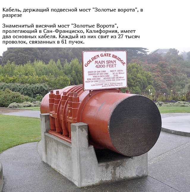 Уникальные и необычные вещи в разрезе