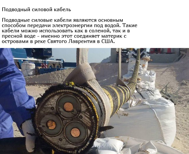 Уникальные и необычные вещи в разрезе