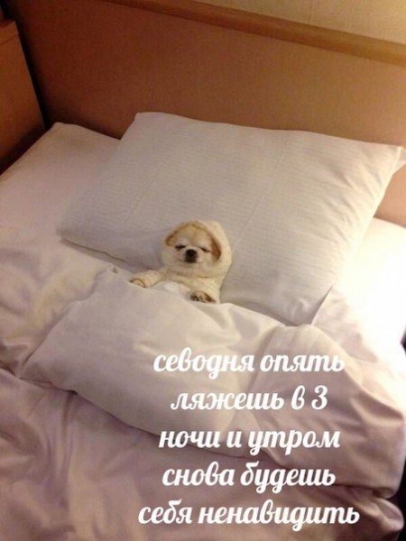 Прикольные картинки