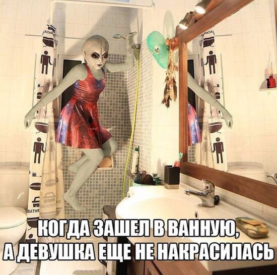 Прикольные картинки