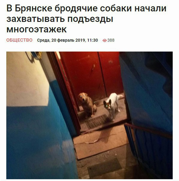Забавные, странные и креативные заголовки новостей