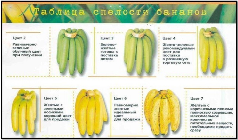 Газация бананов