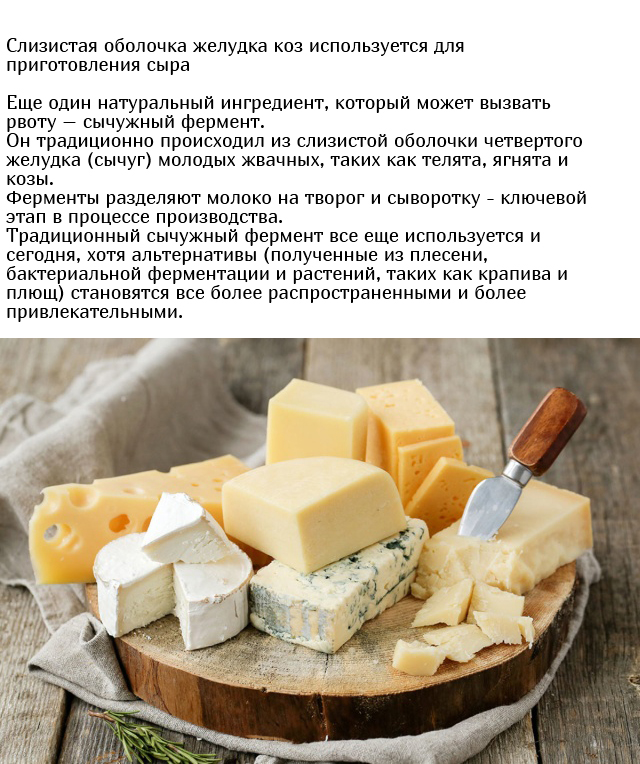 Неожиданные и необычные ингредиенты, которые содержатся в еде
