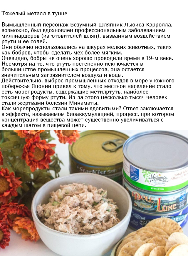 Неожиданные и необычные ингредиенты, которые содержатся в еде