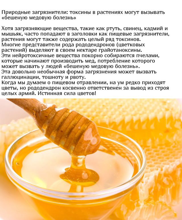 Неожиданные и необычные ингредиенты, которые содержатся в еде