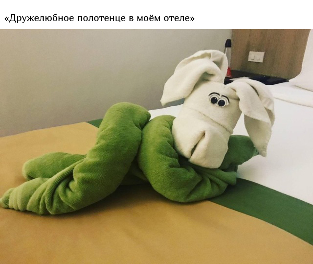Фотографии, которые вы точно не увидите в рекламных брошюрах гостиниц